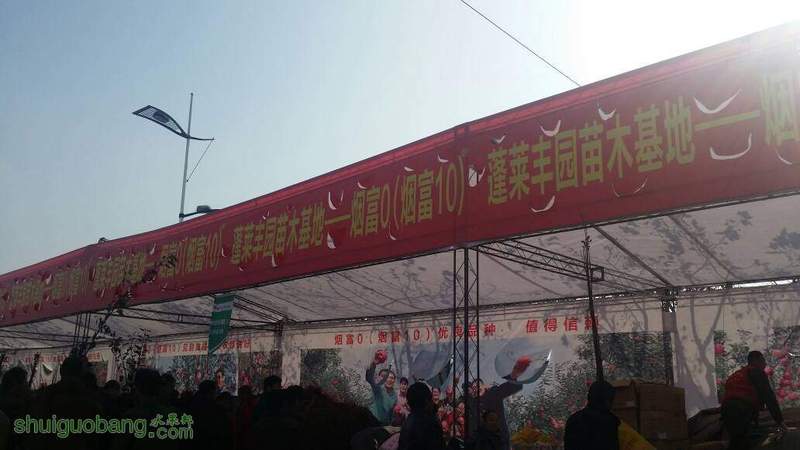 111125rs2s7ha4osvcs077.jpg