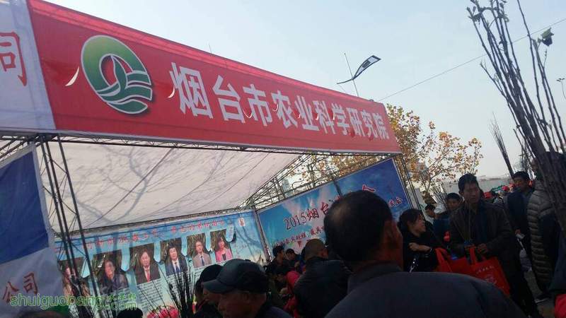 111731a281p18teh2c991l.jpg