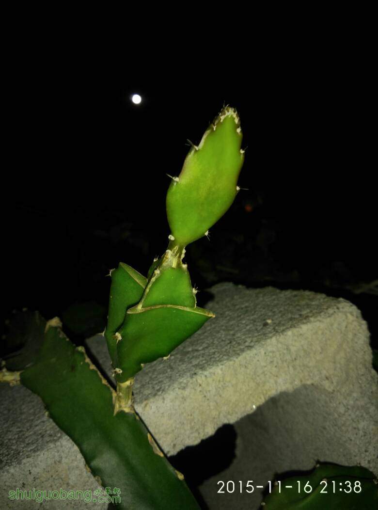 114924aq0qnu49g1lbggpy.jpg