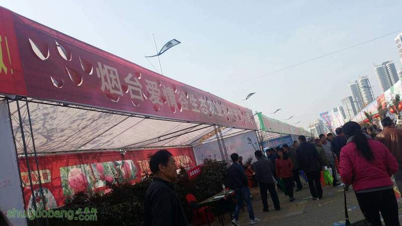 121815pm9hhhb1hq9q91y9.jpg