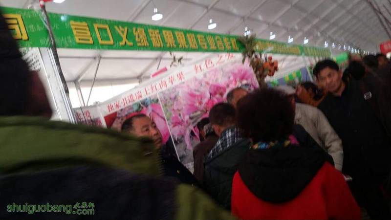 122024w1rmngzx7871yssy.jpg