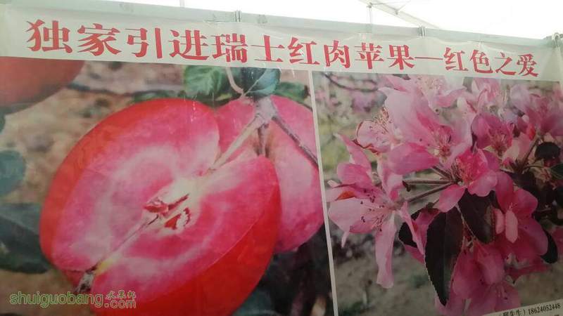 122025ww3pfs2lz8wwupwk.jpg