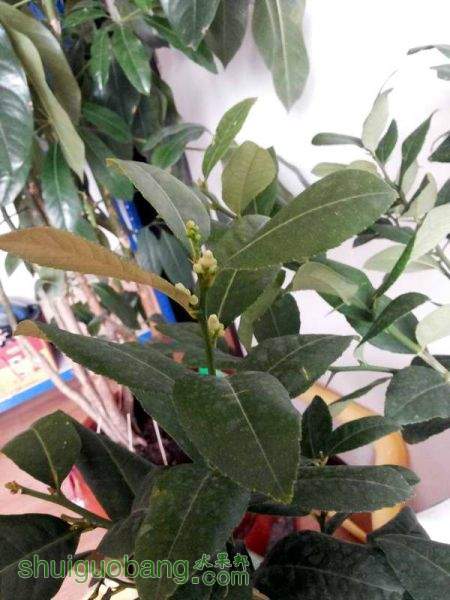 20151120_125432.jpg