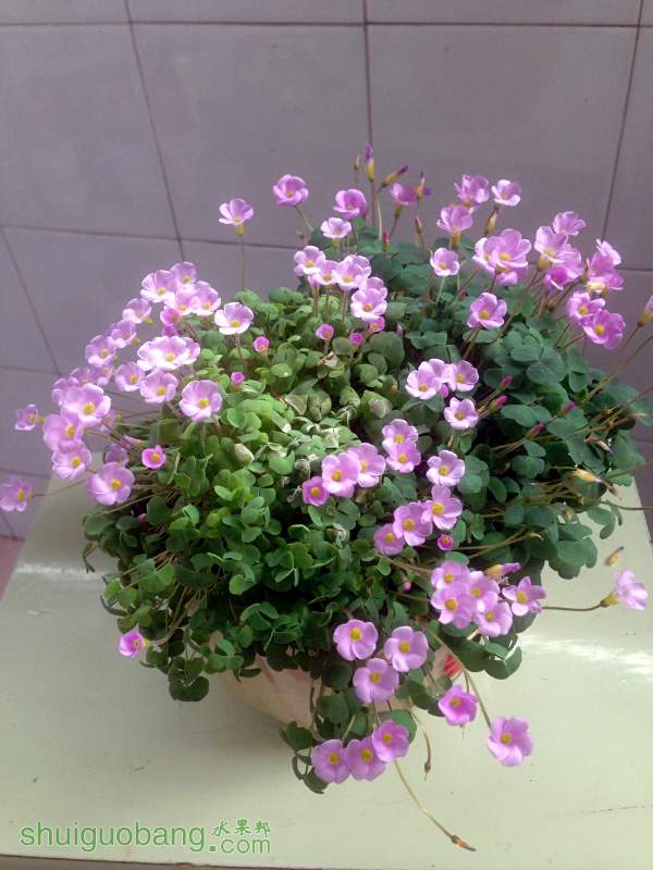 161129xelh4lt8m0tr802h.jpg