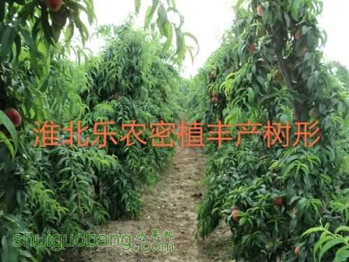 psu_mh1448712521496.jpg