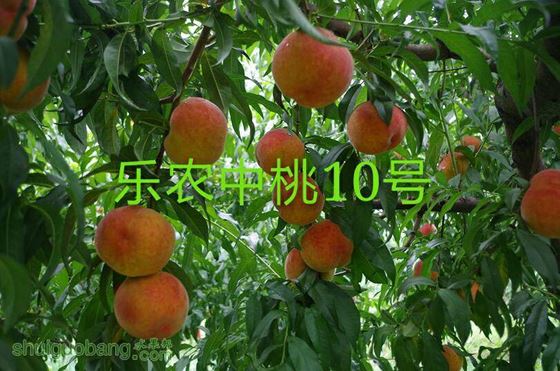 223138h23xx1x1c097mn03.jpg