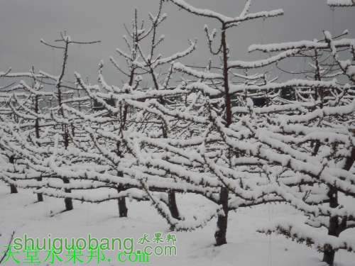 tiantang.jpg
