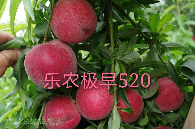 114959kd7yswdqv9y55743.jpg