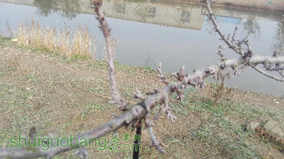 IMG_20151129_095849.jpg