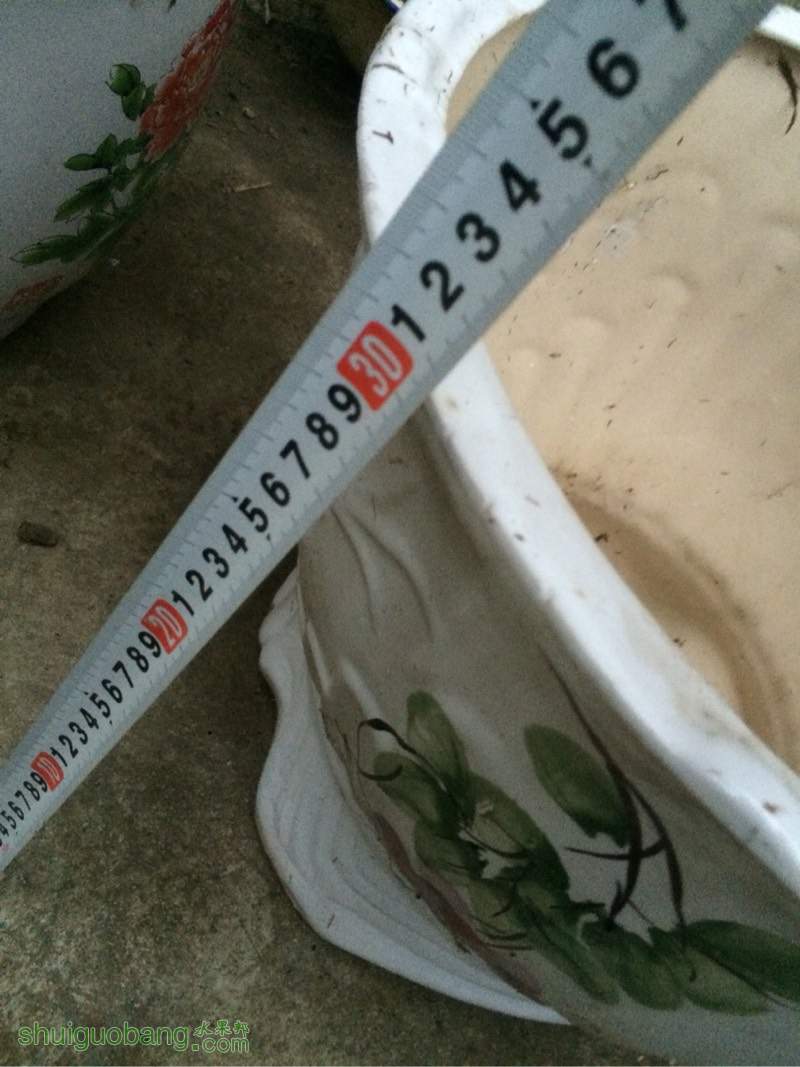 182346dd781nak1e77sdnq.jpg