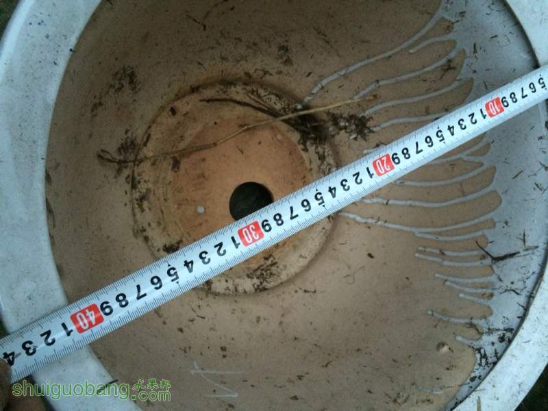 182348pqxqle4y99mxs6qq.jpg