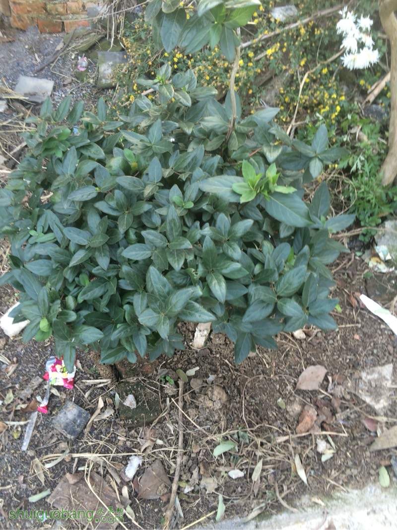 222451unw7zqft24sqnjlw.jpg