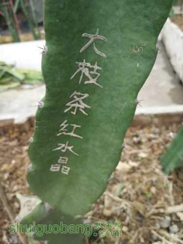 IMG20151205113446.jpg