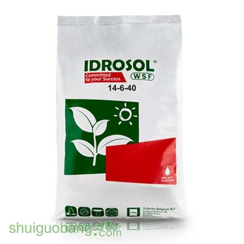 رQQ2998705338.jpg