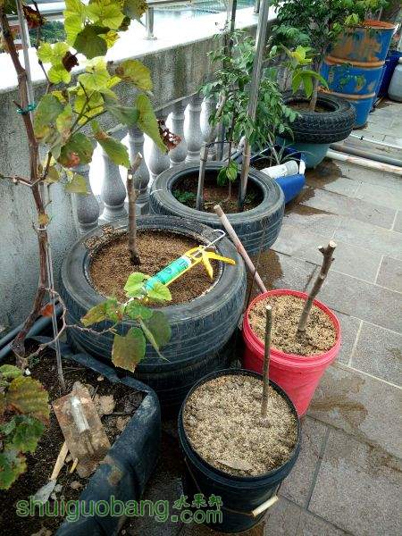 IMG20151208133109.jpg