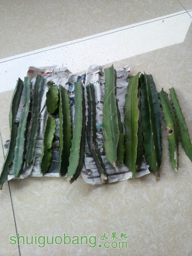 20151214_171536.jpg