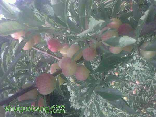 201251u5e9edd9q4d3d4yq.jpg