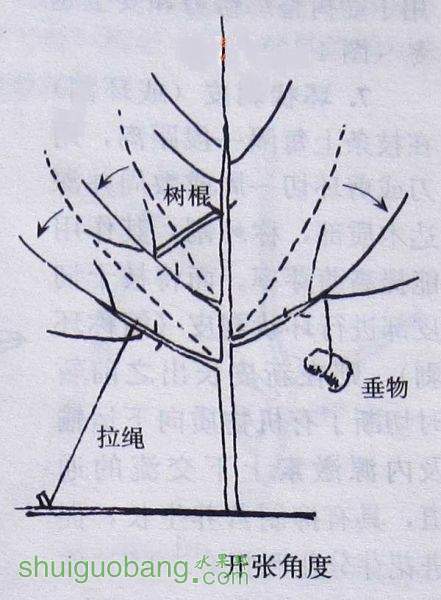 ֦.jpg