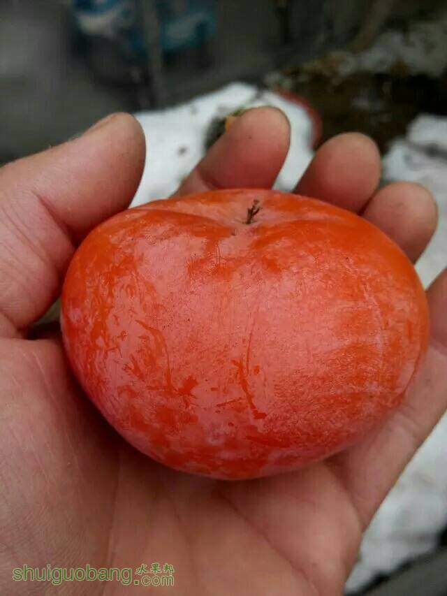 111201b35c2yf5r6l2zl55.jpeg