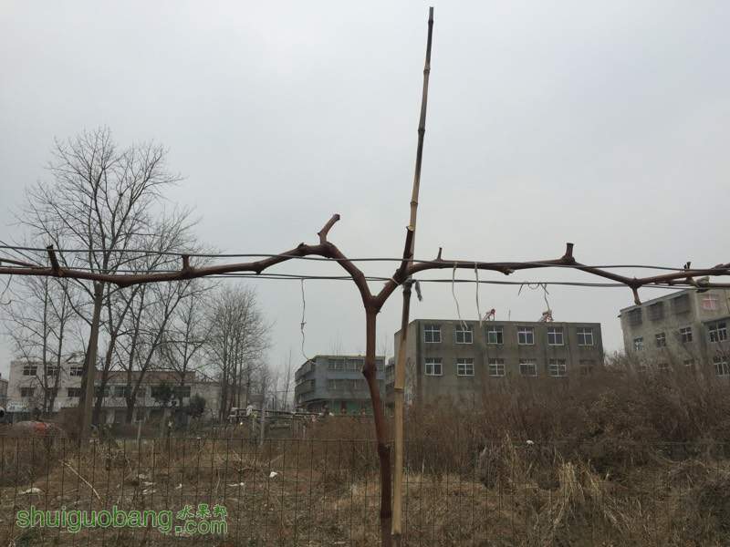 120122awo7zrgwn7j2gcg7.jpg