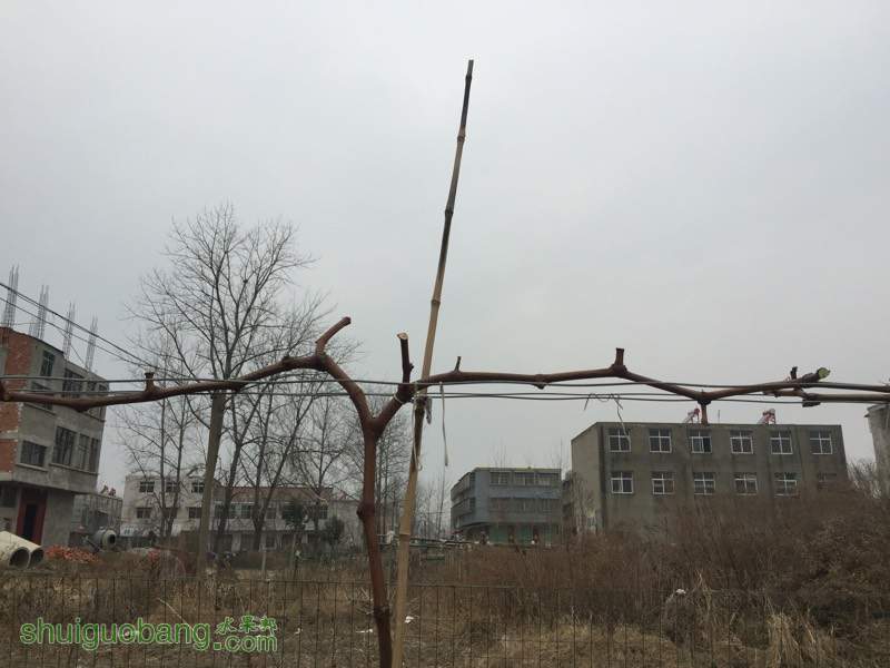 120122iqnja6k756jnn66x.jpg