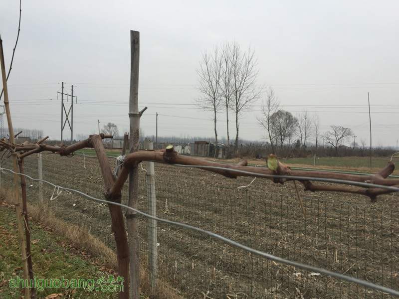 120122z2vn91lum9l6plzl.jpg