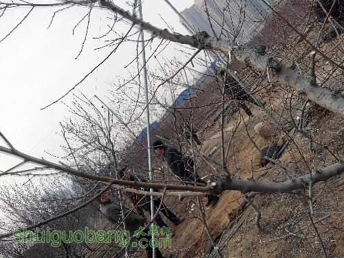 IMG_20151219_155257_HDR.jpg