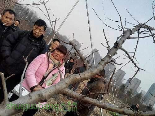 IMG_20151219_155305_HDR.jpg