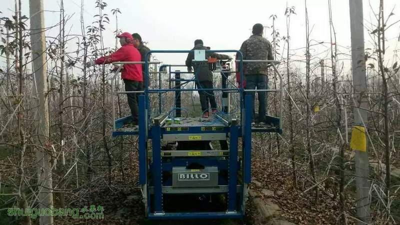 164802qo4rv3rrlfsrvyov.jpg