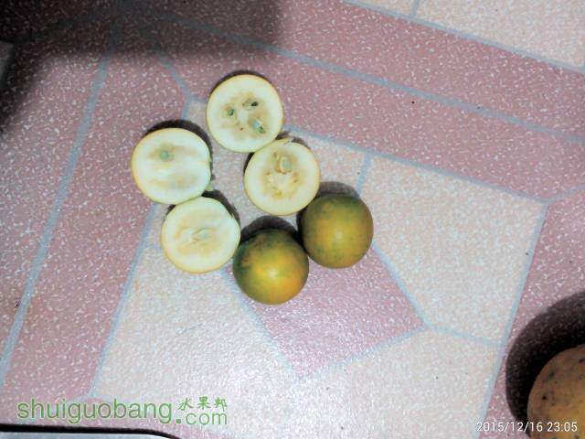 225138oh4wr52nu5lnlgu3.jpg