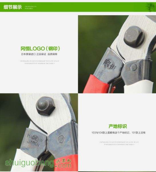 5.webp.jpg