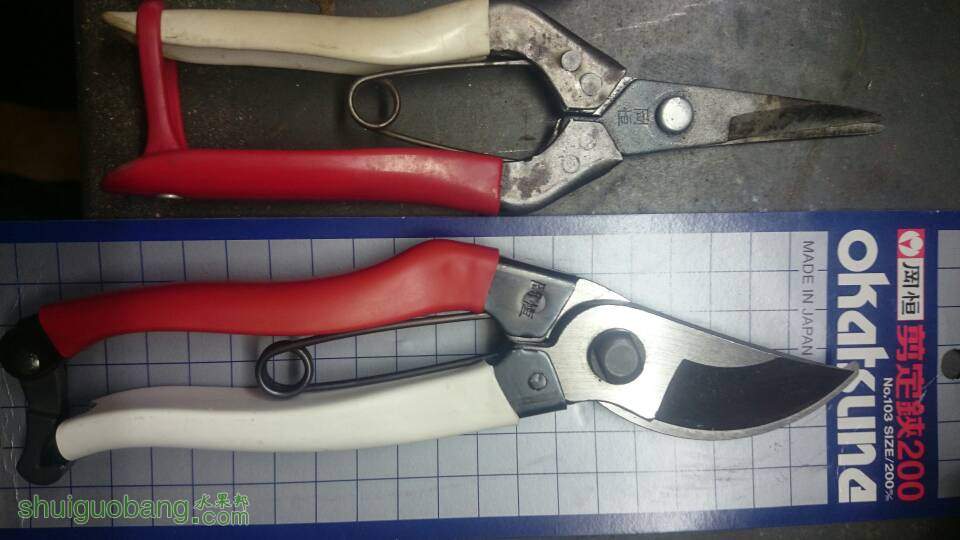 182914ex1emj8l14qrvxam.JPG