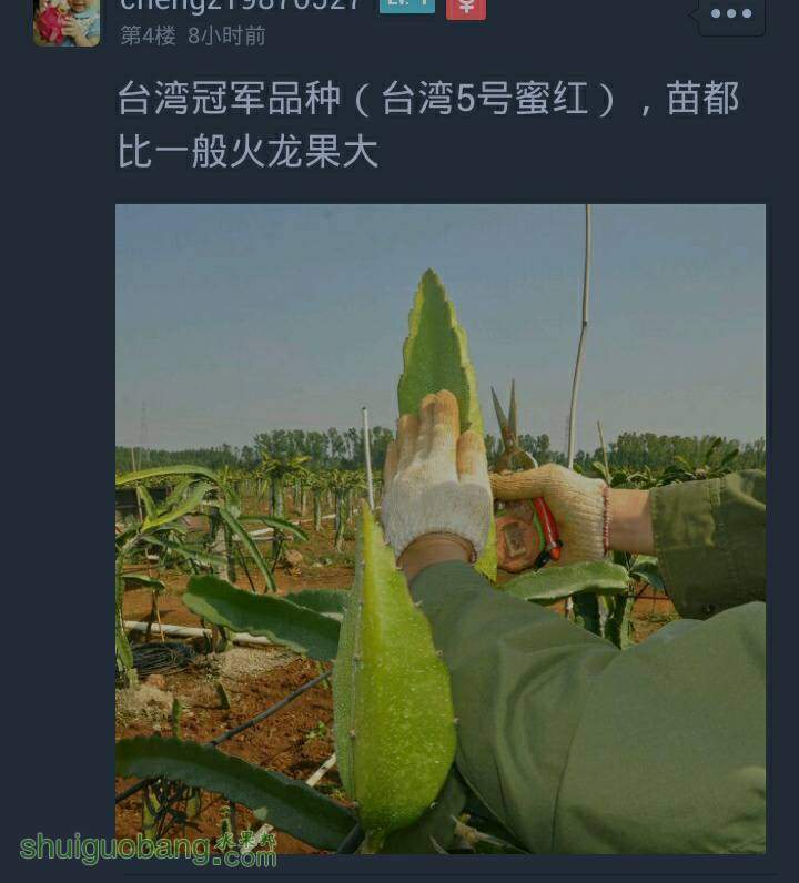 214057chpmm34hdw64zhht.JPG