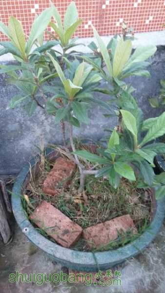 rps20151225_104928.jpg