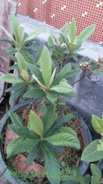 rps20151225_104902.jpg