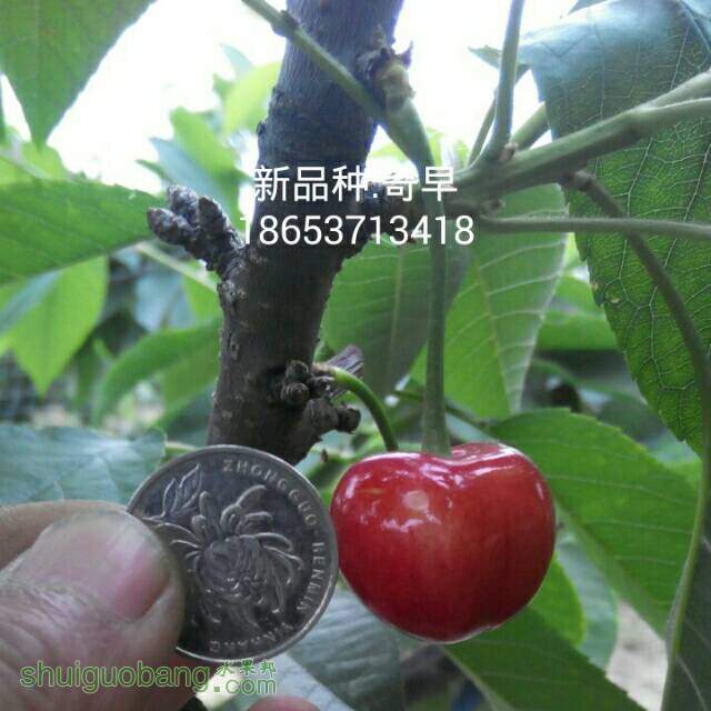 203902hnl8n50rrxnz0n0m.jpg