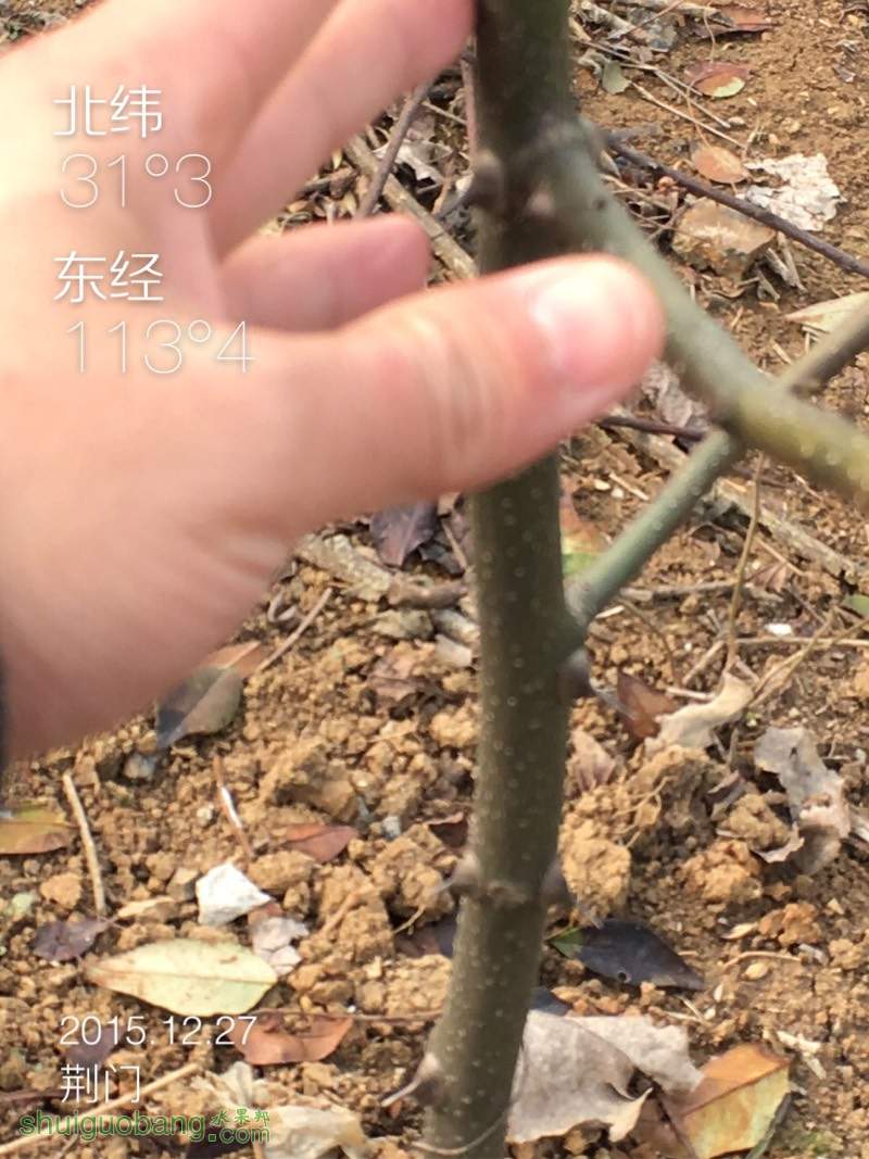 121607v4maifkkq5hkq0nn.jpg