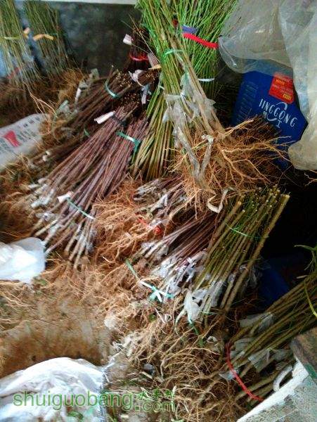 IMG20151205131403.jpg