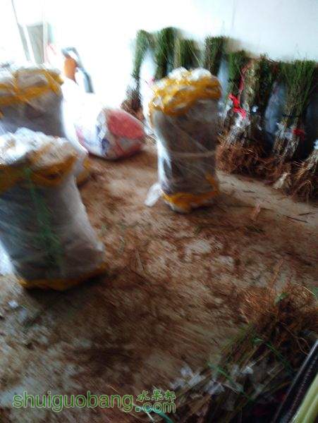 IMG20151205131435.jpg