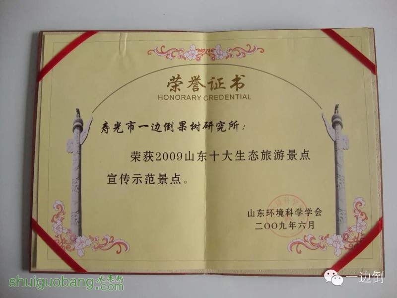 201252t8m4f88maecm5ncr.jpg