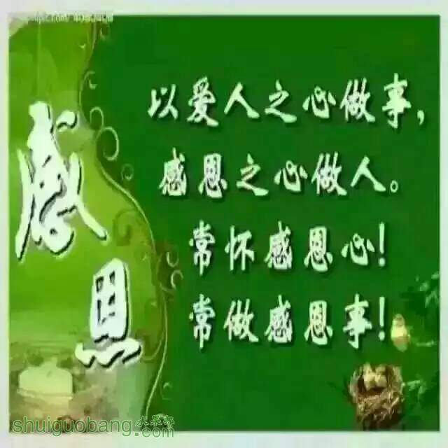 063347vid39d9qjrnizbdi.jpg