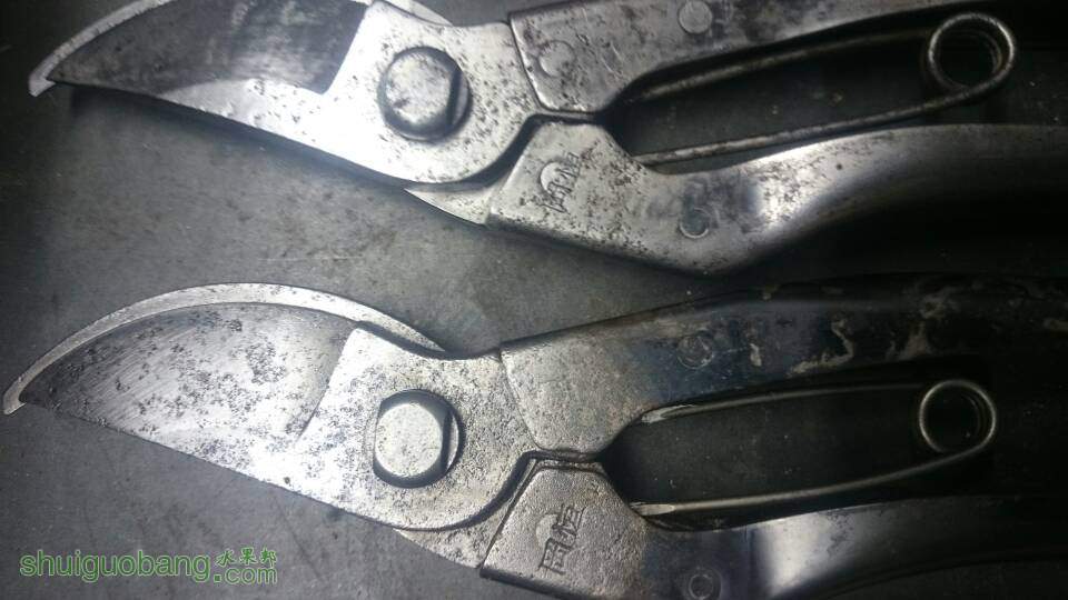 075630klqx2txs48mx8u7q.JPG
