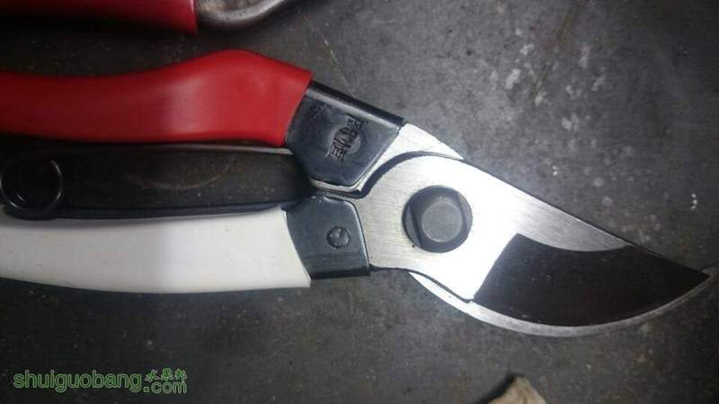 220902gditokkgwbxtgbtt.JPG