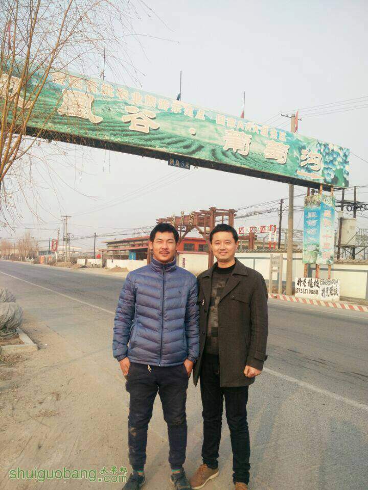 201852o1qjjein0n626rs1.jpg