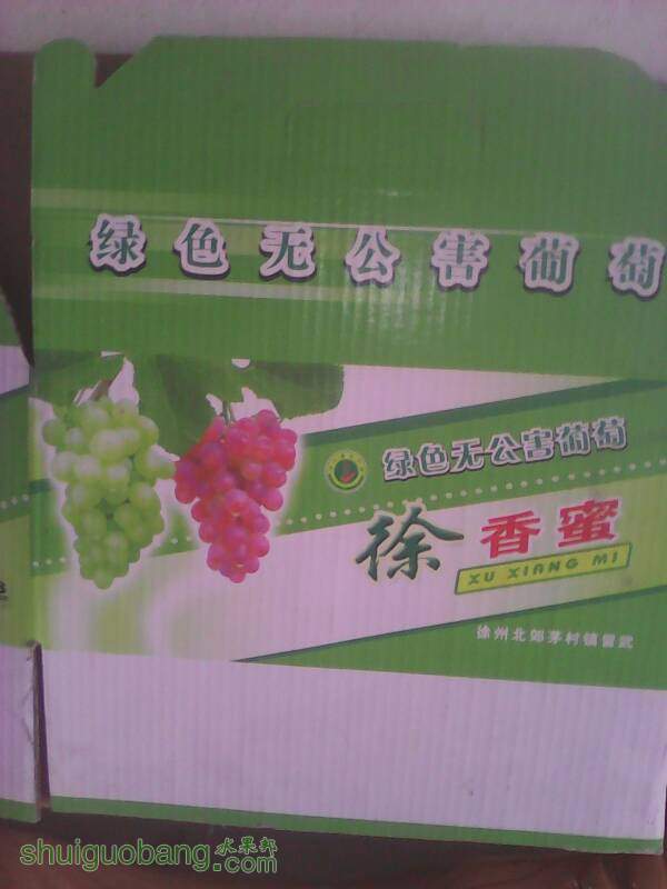210307cz3arn3hphazh6wm.jpg