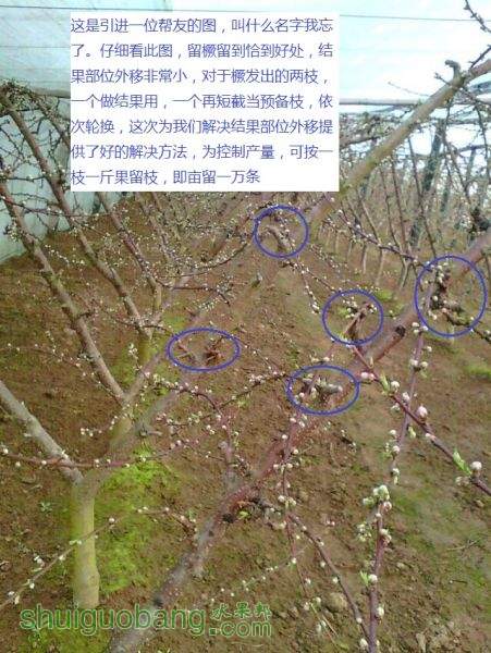 QQͼƬ20151114114158.jpg