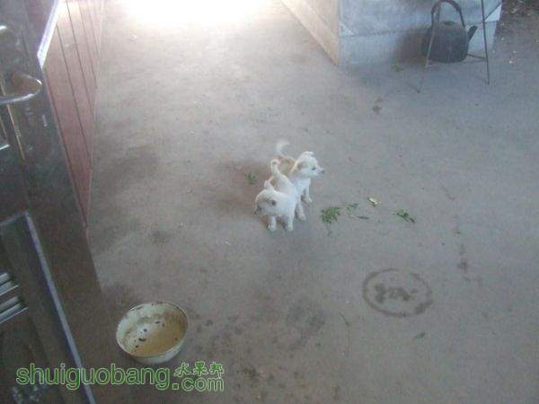 DSCF1980_С.JPG