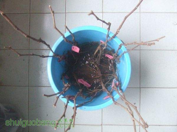 DSCF2053_С.JPG