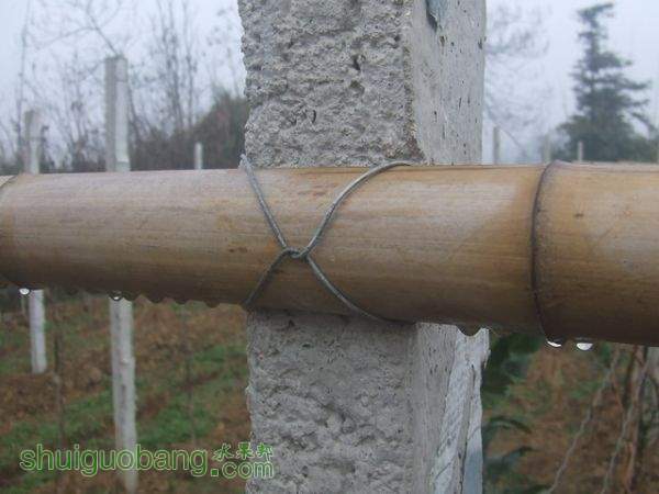 DSCF2085_С.JPG
