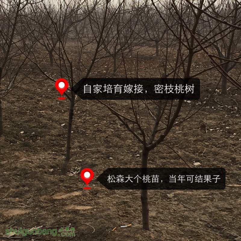 184627miotkdbazkojeb9b.jpg
